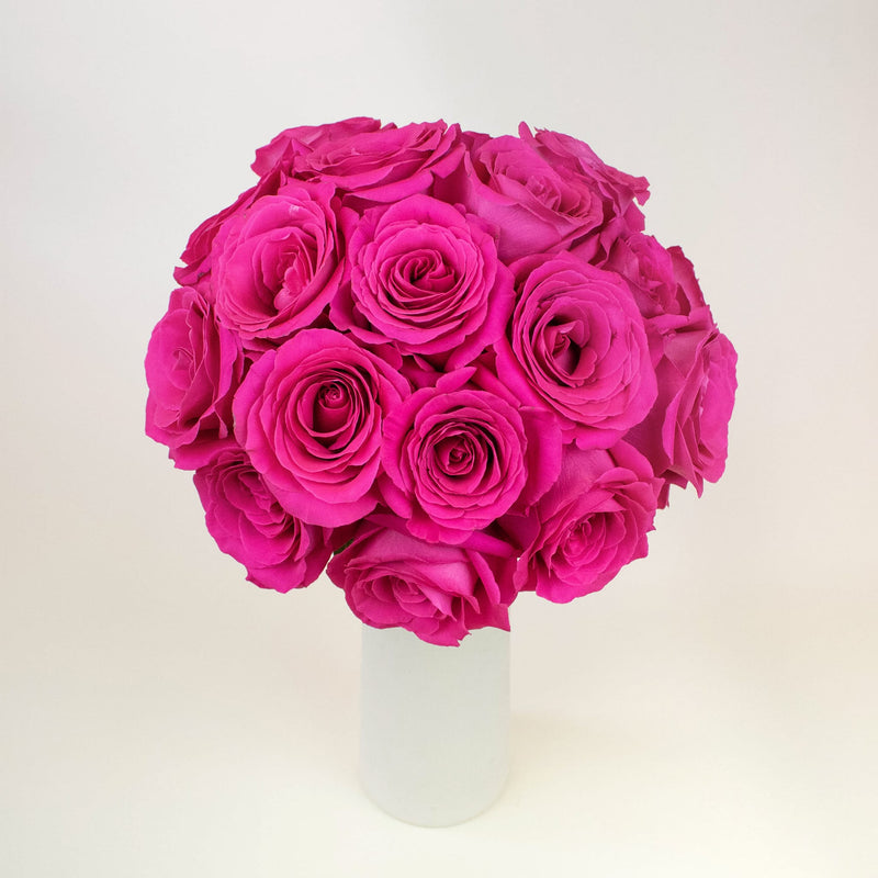 Pink Floyd Hot Pink Wholesale Roses In a Vase