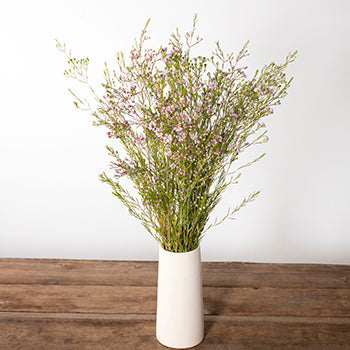 Lavender wax flowers for delivery