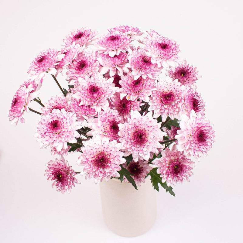 Pink Lilac Button Pom Flower Bunch in Vase