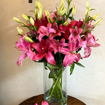 Classic Mothers Day Lillies