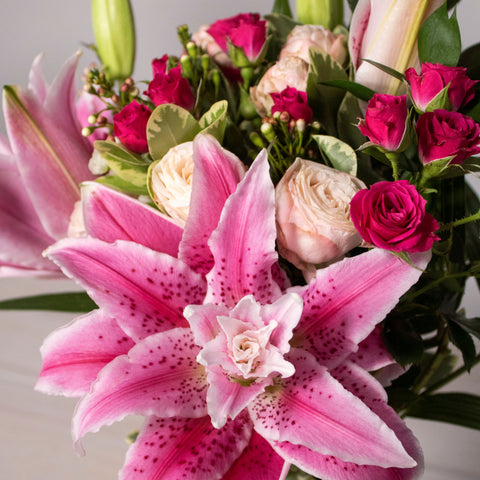 Lily Pink Wholesale Flower Up Close