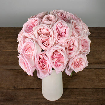 Ohara Soft Pink Wholesale Garden Roses In a vase