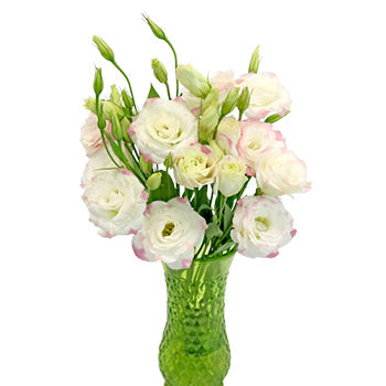 Pink Picote Lisianthus Wholesale Flower In a vase