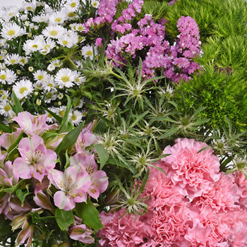 Pink Textured Filler DIY Flower Kit Up Close