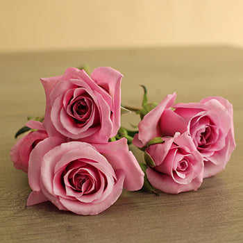 Pinky Lavender Spray Rose Bunch