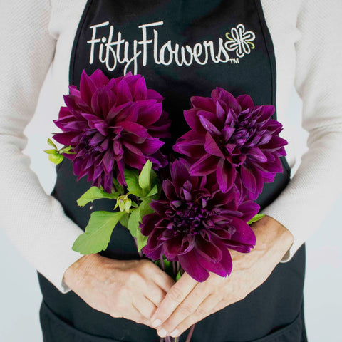 Plate Thomas Edison Dinner Dahlia Flower Bunch in Hand