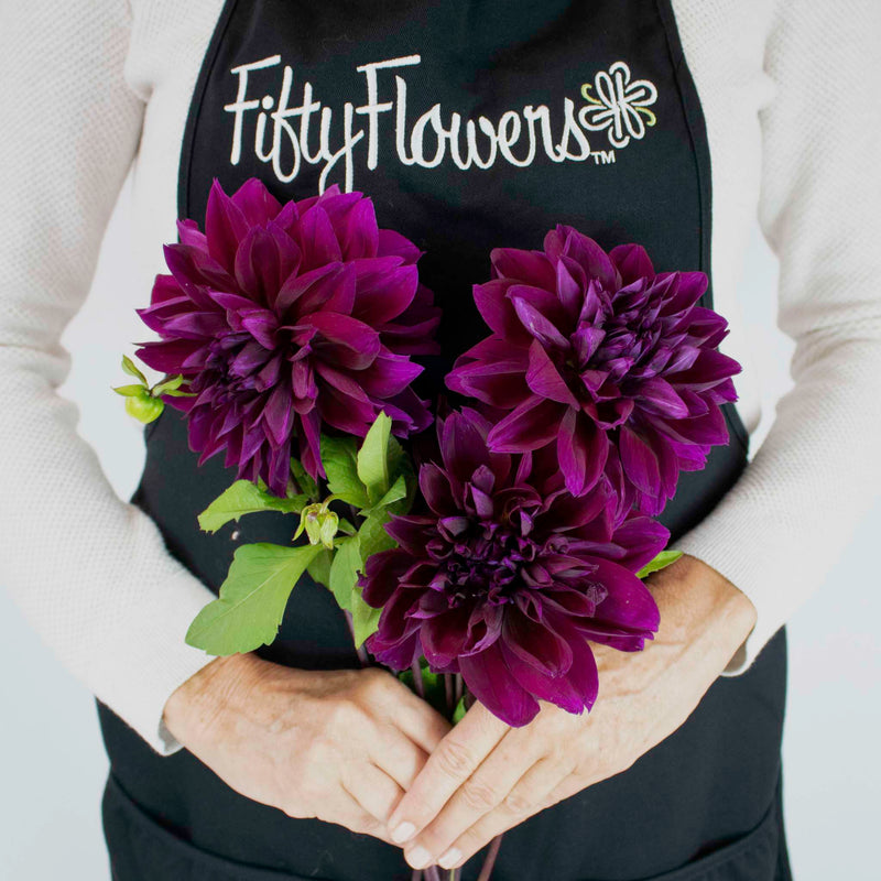 Plate Thomas Edison Dinner Dahlia Flower Bunch in Hand