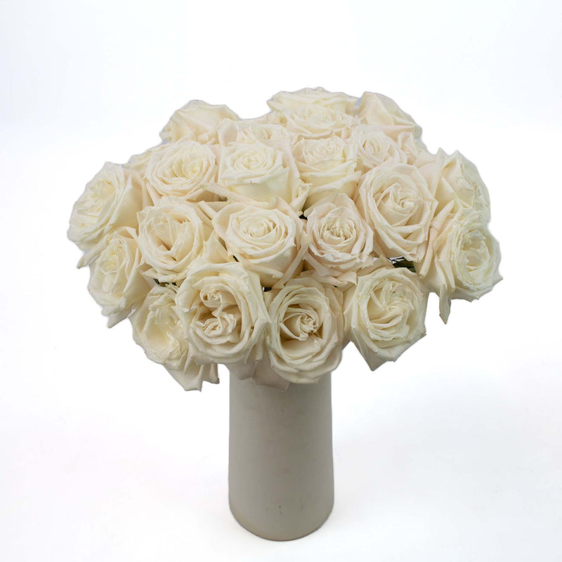 Playa White Rose Flower Bunch in Vase
