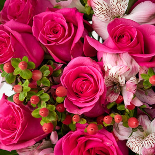 Playful Hot Pink Rose Arrangements