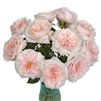 Pleasing Pink Garden Wholesale Roses In a vase