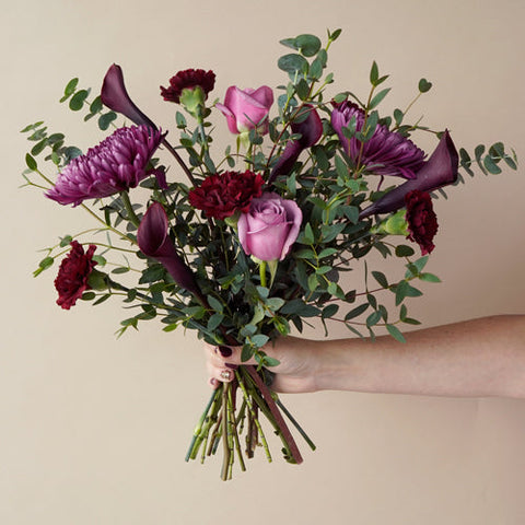 Plum Purple Perfection Flower in Hand