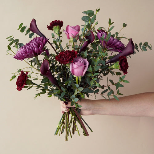 Plum Purple Perfection Flower in Hand