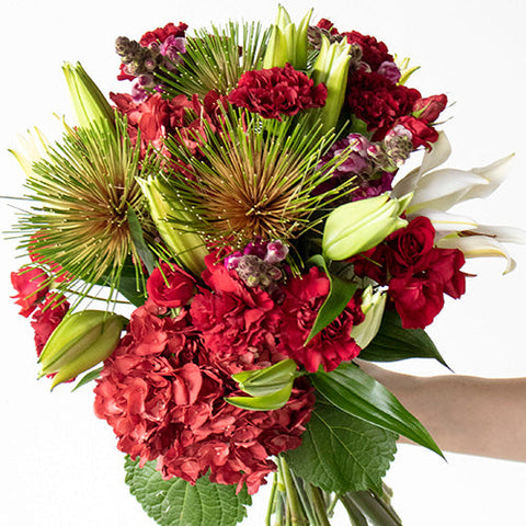 Pops of Red Flower in Hand