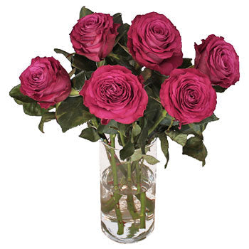 Precious Moments Fuchsia Garden Wholesale Roses In a vase