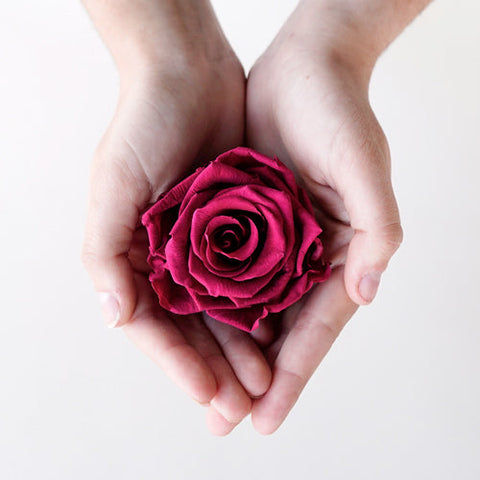 Preserved Dusty Pink Rose