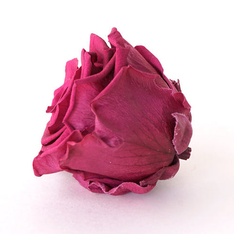 Preserved Dusty Pink Rose