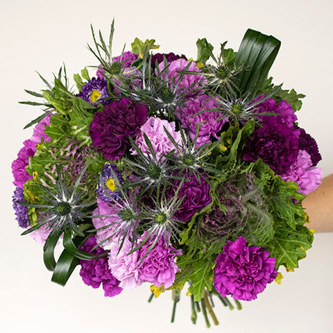 Prickly Purple Flower in Hand