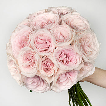 Prince Jardiniere Pink Roses In a Hand