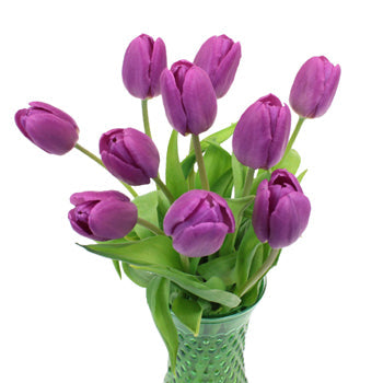 Prince Purple Tulip Wholesale Flower In a vase