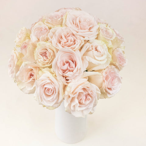Priority Cream Wholesale Roses In a Vase