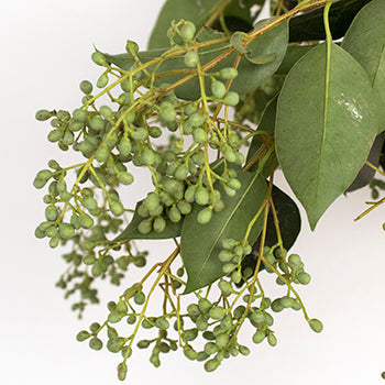 Wedding greenery bulk green privett berries sold near me
