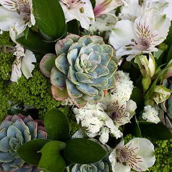 Party Perfect Green Flower Centerpieces