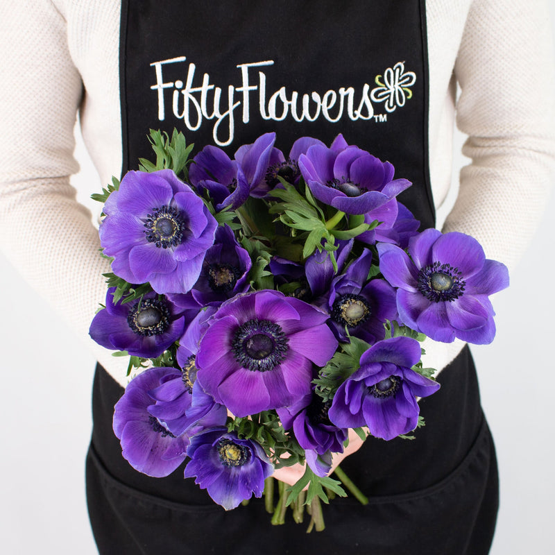 Purple Anemone Flower Bunch in Hand