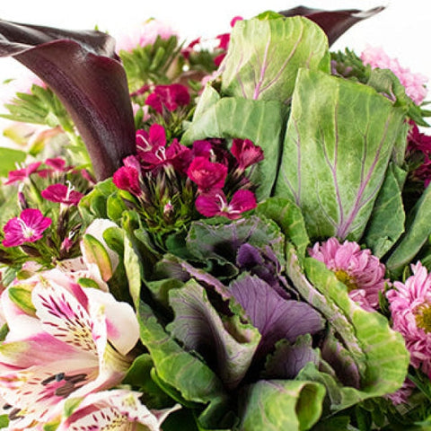 Purple Fiesta Fresh Flower Bouquet Arrangements
