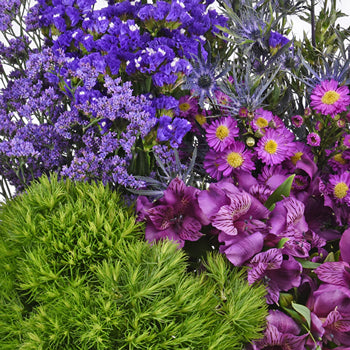 Purple Textured Filler DIY Flower Kit Up Close