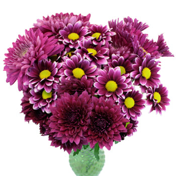 Berry Bombastic Wedding Flower Pack