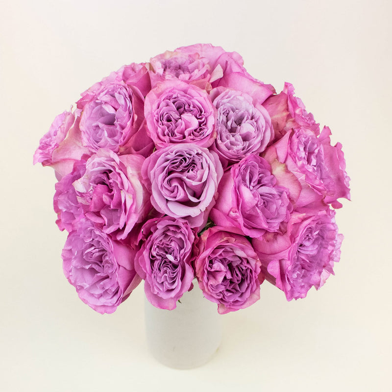 Queens Crown Purple Garden Roses In a Vase