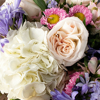 Drifting Clouds Pink and White Flower Arrangement