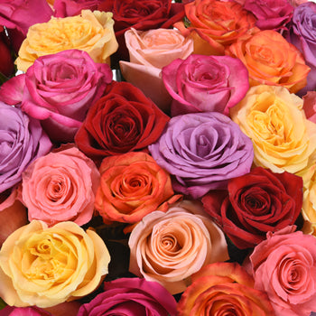 Dozen Roses for Mother's Day