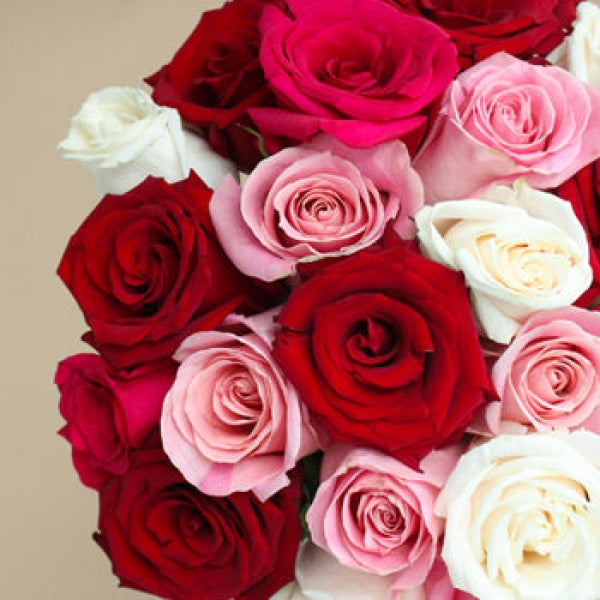 Rainbows of Love Valentines Day Roses