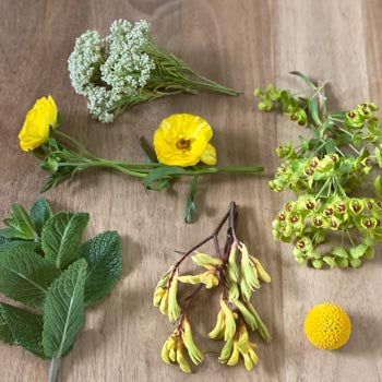 Intrigue Design Yellow Deluxe Flower Box