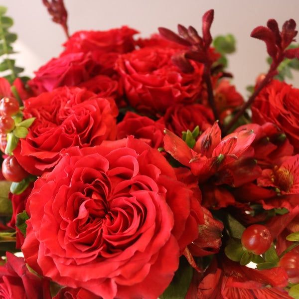 Red Rose Day Flower Bouquet Up Close