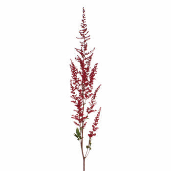 Red Astilbe Flower November to April