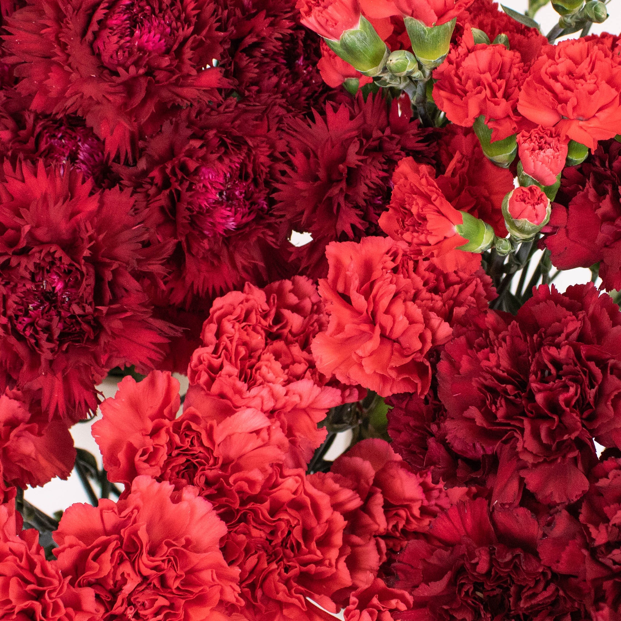 Ready To Go Wholesale Centerpieces Card