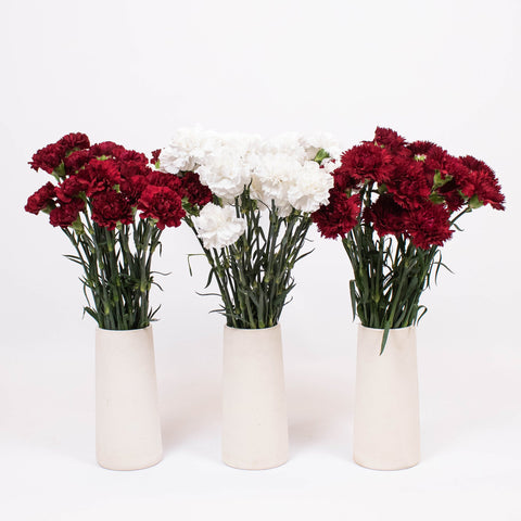 Red Burgundy White Flower Kit Recipe