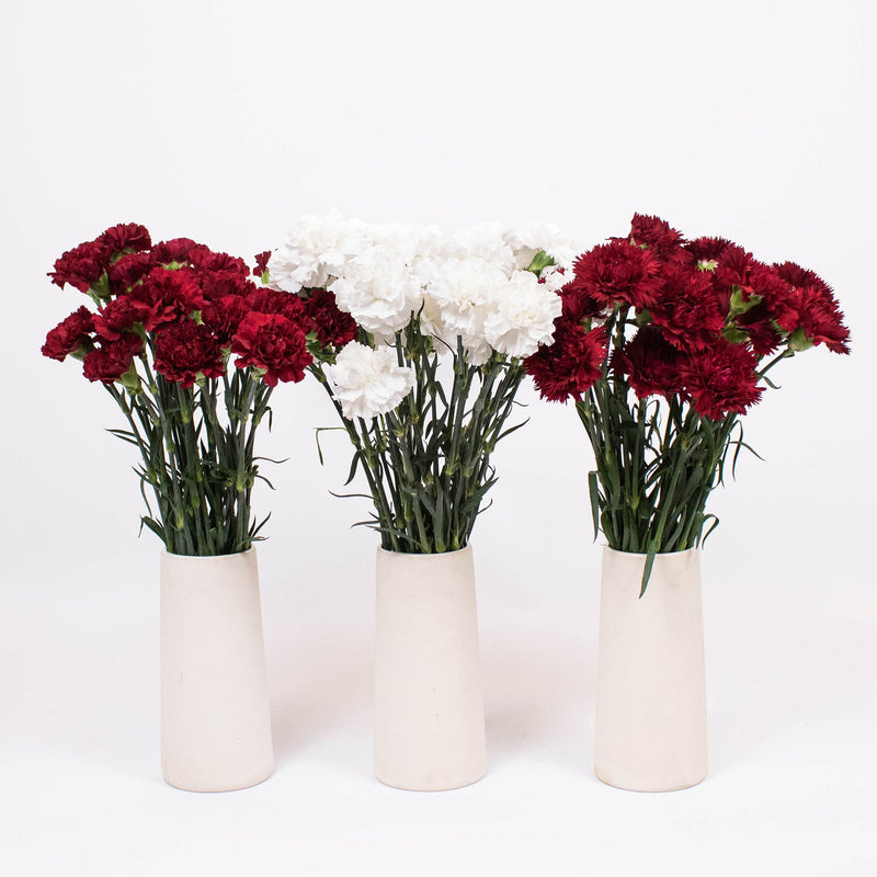 Red Burgundy White Flower Kit Recipe