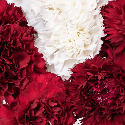 Red Burgundy White Flower Kit Up Close