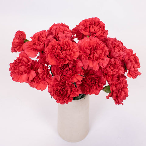 Red Carnation Flower Bunch in Vase