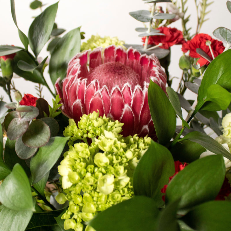 Valentines Day Protea Flower Garden