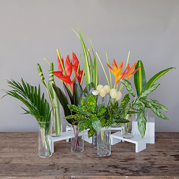 Red Heliconia Tropical DIY Flower Kit Bunch