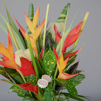 Red Heliconia Tropical DIY Flower Kit Up Close