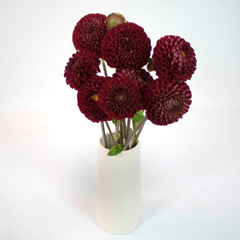 Red Honeycomb Dahlia Flower Bunch in Vase