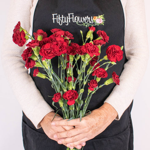 Red Mini Carnation Flower Bunch in Hand