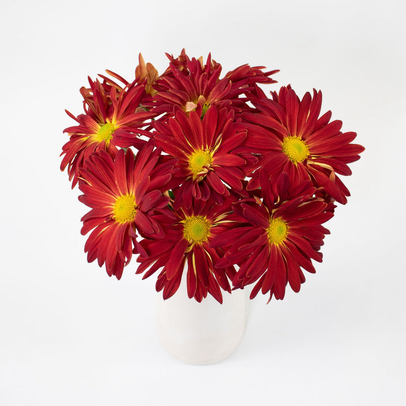 Red Mum Flower Bunch in Vase