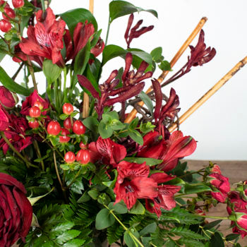 Daring Red DIY Flower Design Kit