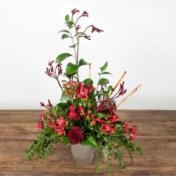 Daring Red DIY Flower Design Kit
